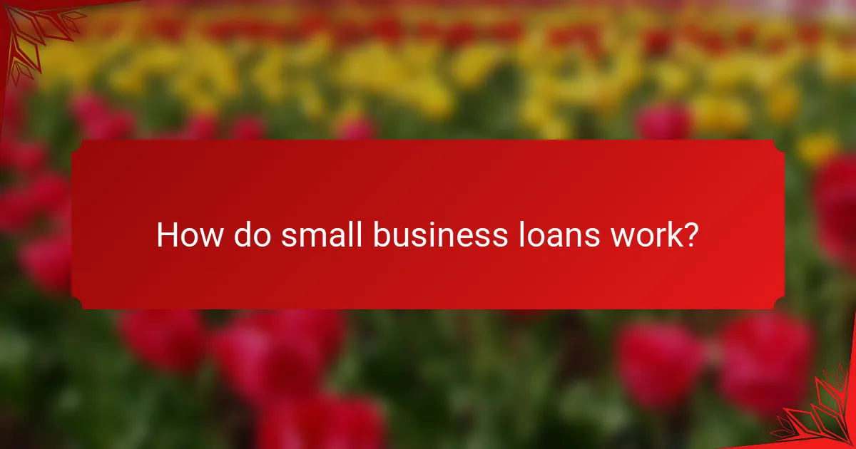 How do small business loans work?