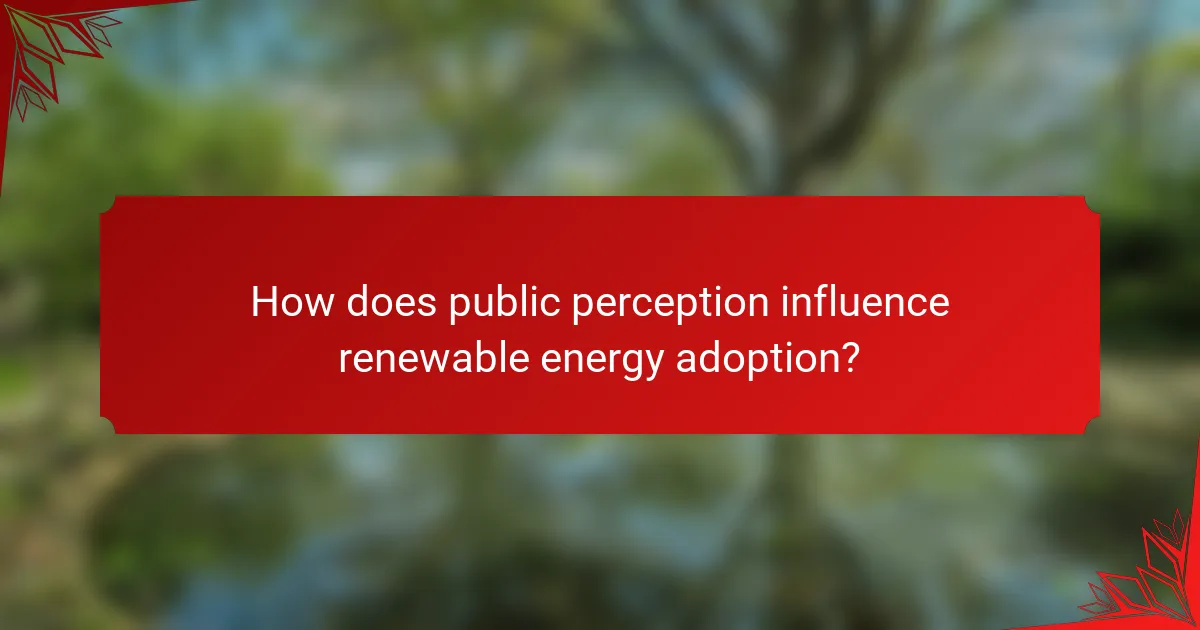 How does public perception influence renewable energy adoption?