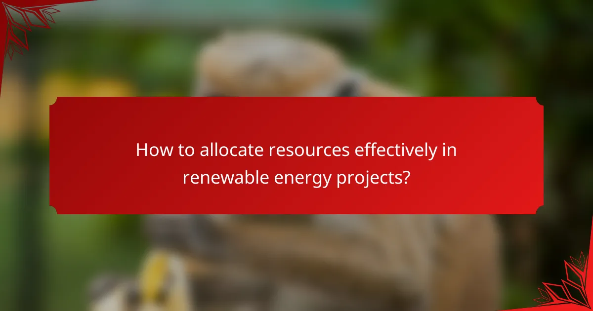 How to allocate resources effectively in renewable energy projects?