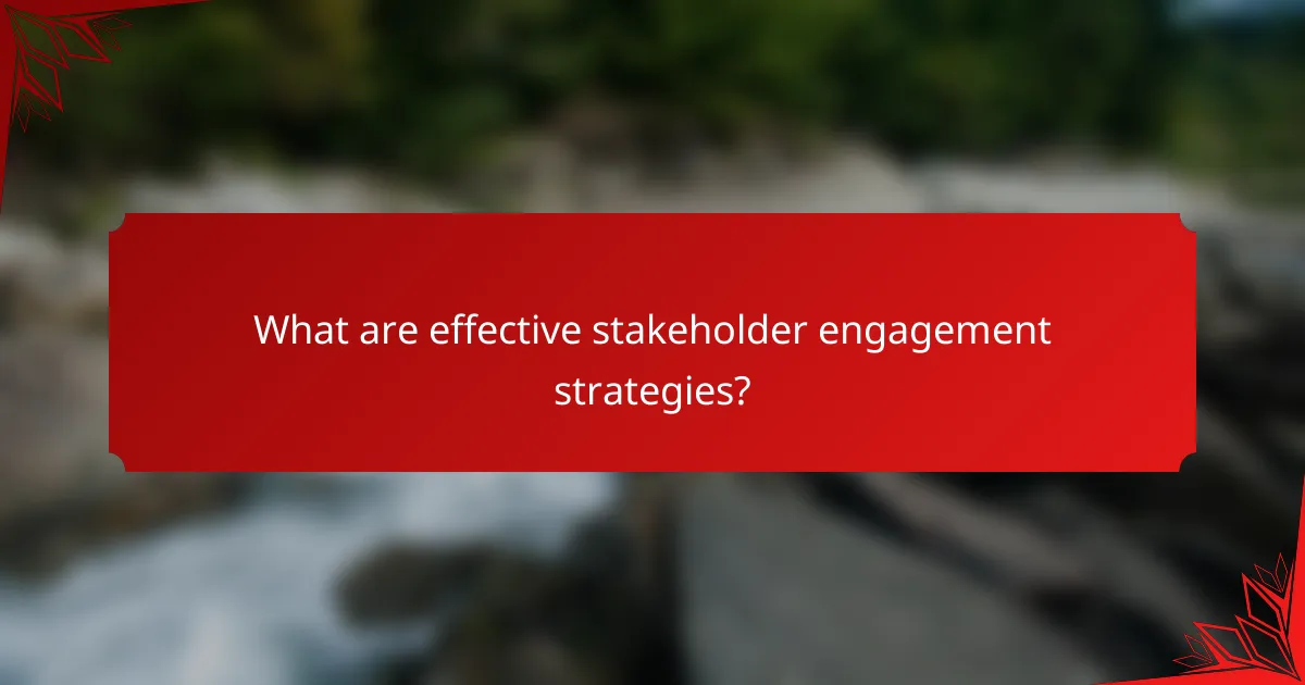 What are effective stakeholder engagement strategies?