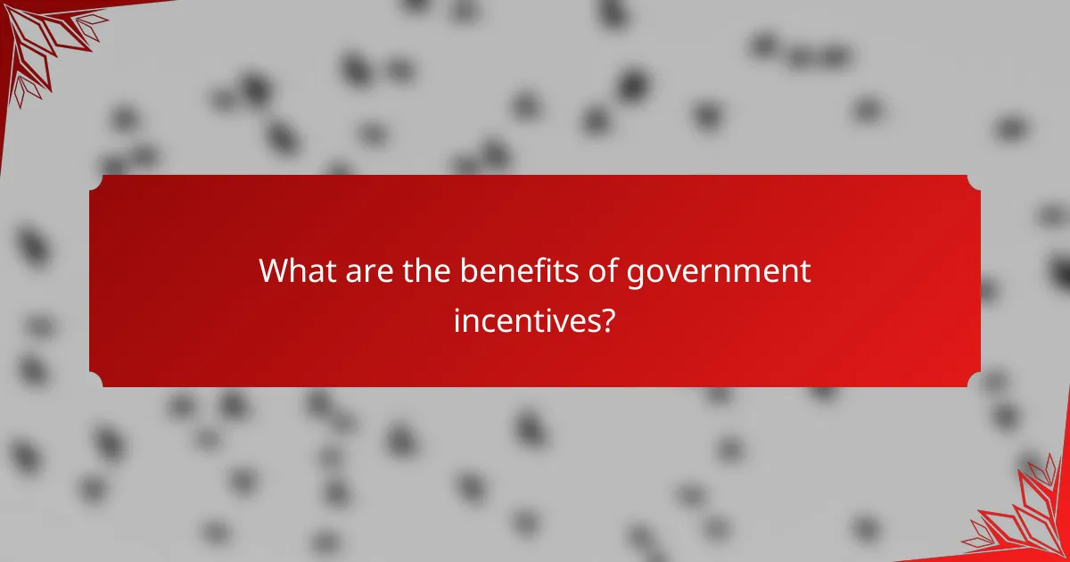 What are the benefits of government incentives?