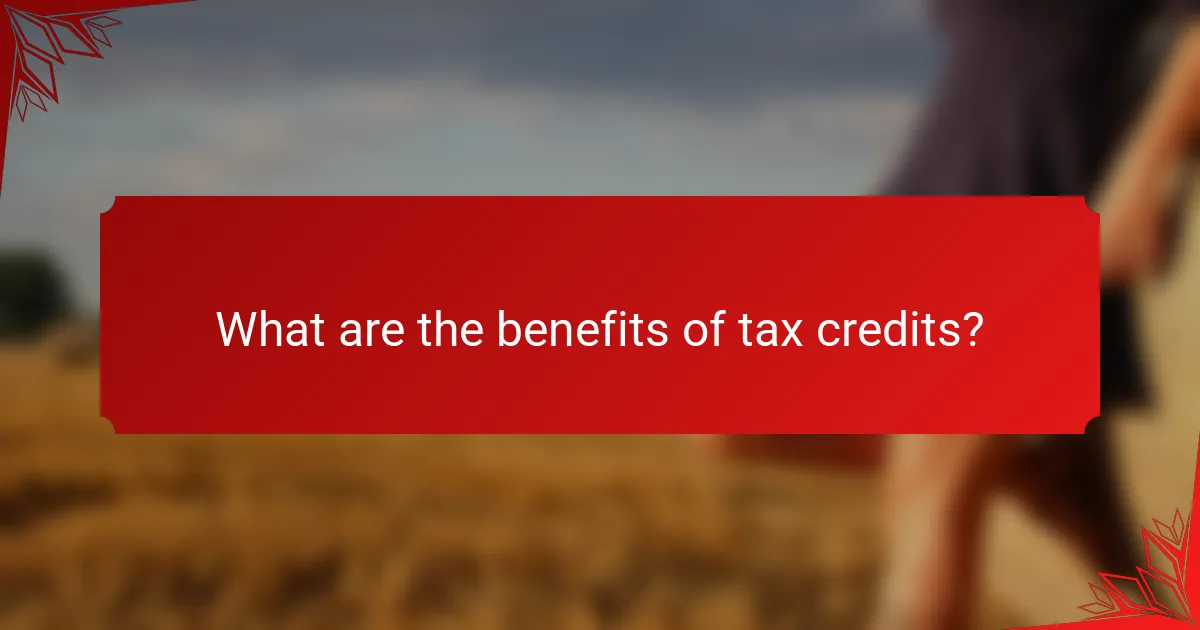 What are the benefits of tax credits?