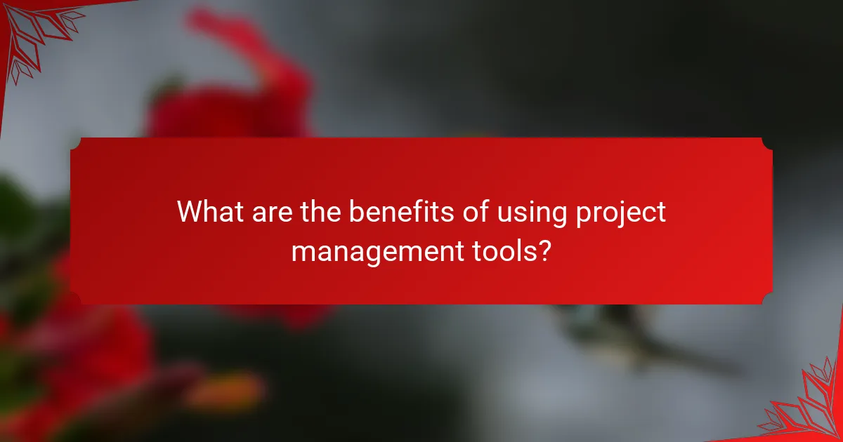 What are the benefits of using project management tools?