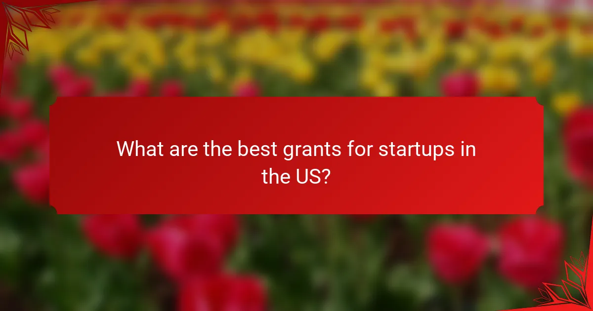 What are the best grants for startups in the US?
