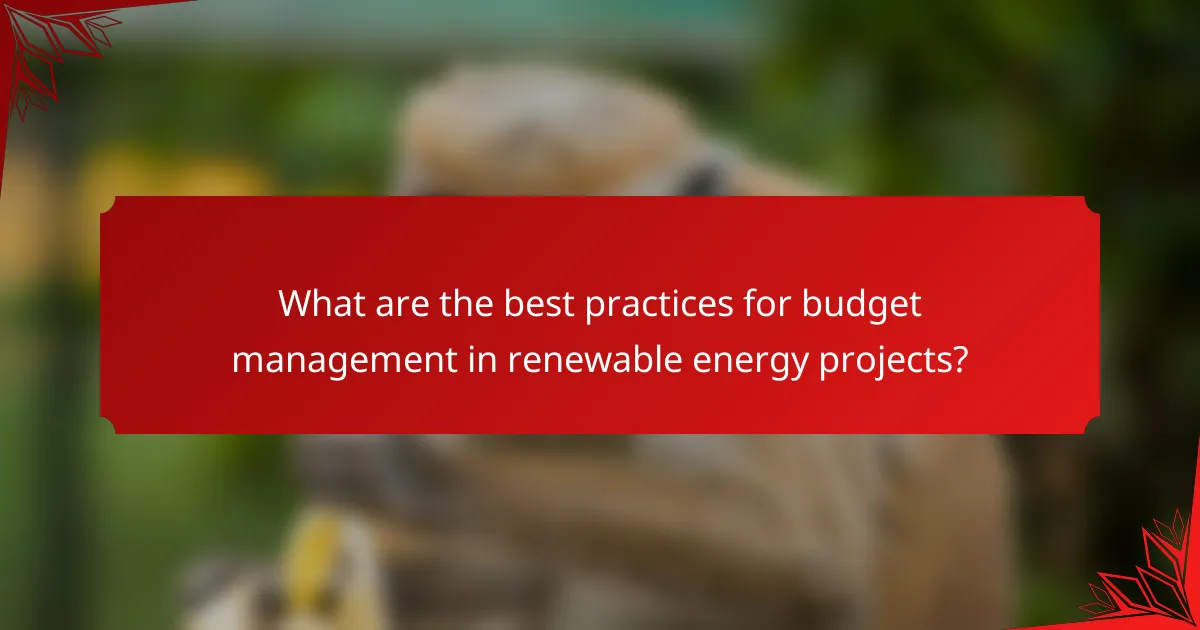 What are the best practices for budget management in renewable energy projects?