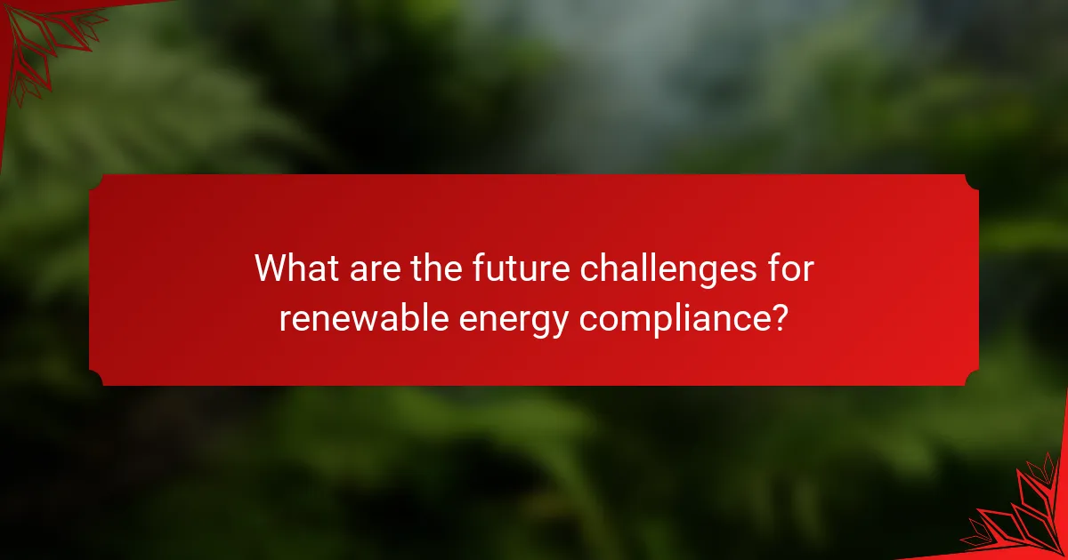What are the future challenges for renewable energy compliance?