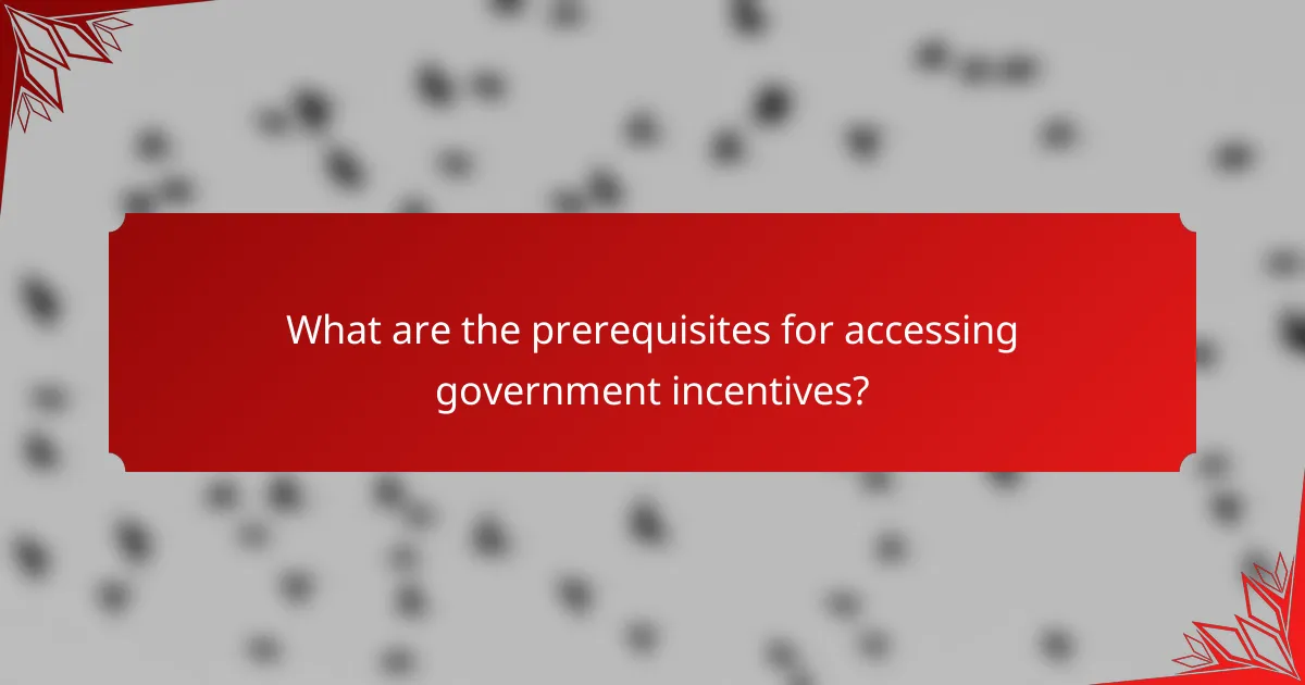 What are the prerequisites for accessing government incentives?