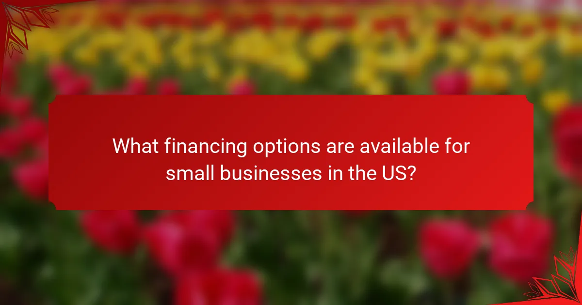 What financing options are available for small businesses in the US?