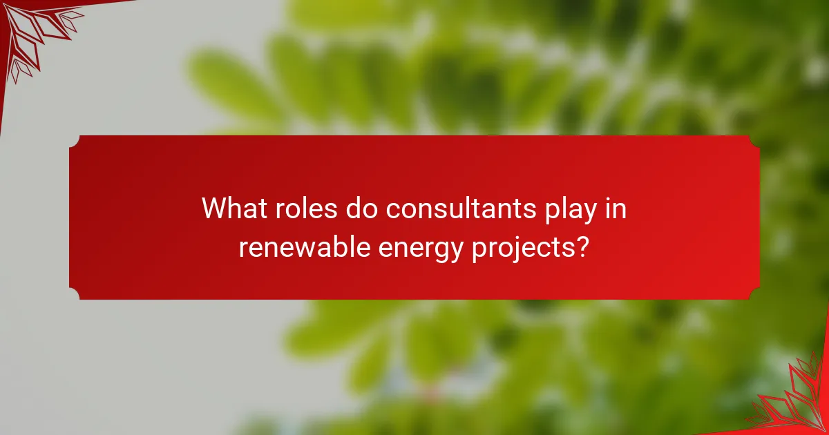 What roles do consultants play in renewable energy projects?