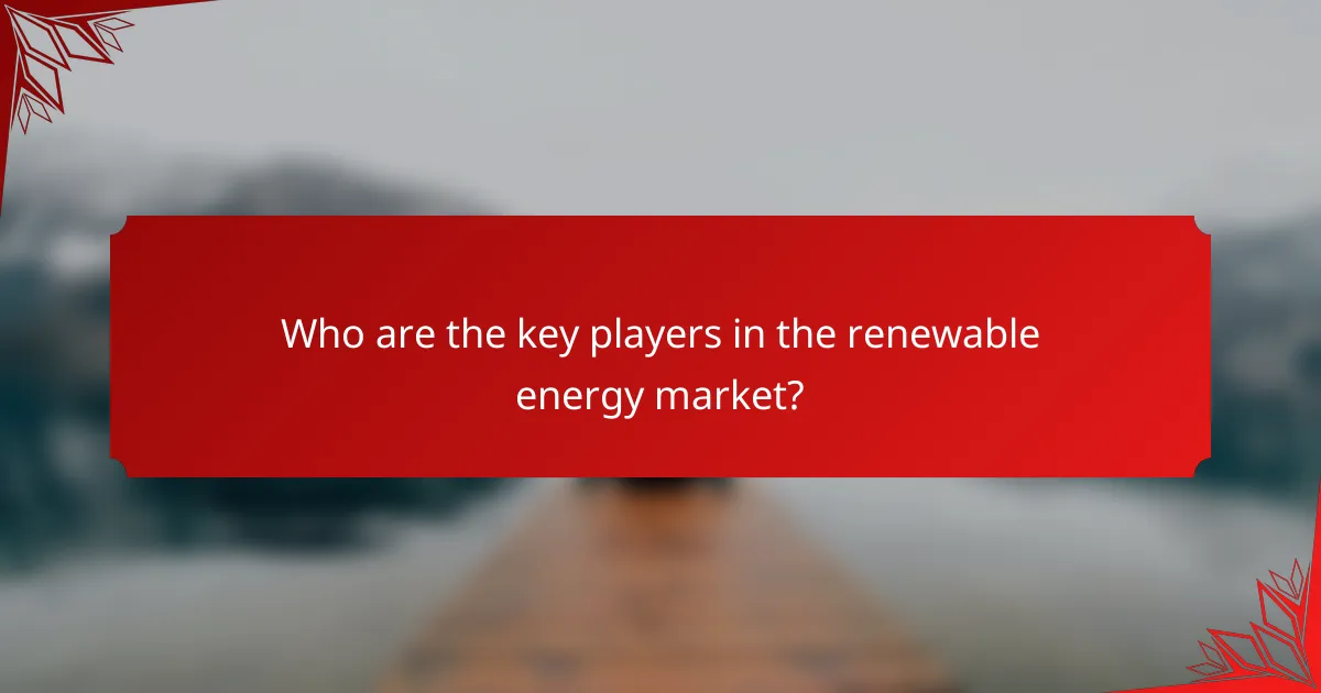 Who are the key players in the renewable energy market?